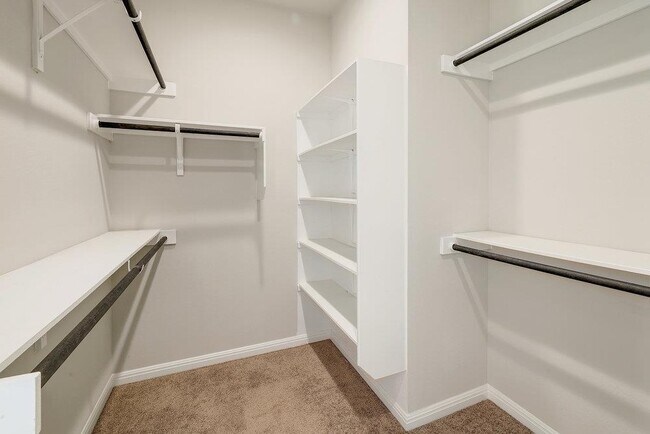 Building Photo - 1136 Almeria Bend