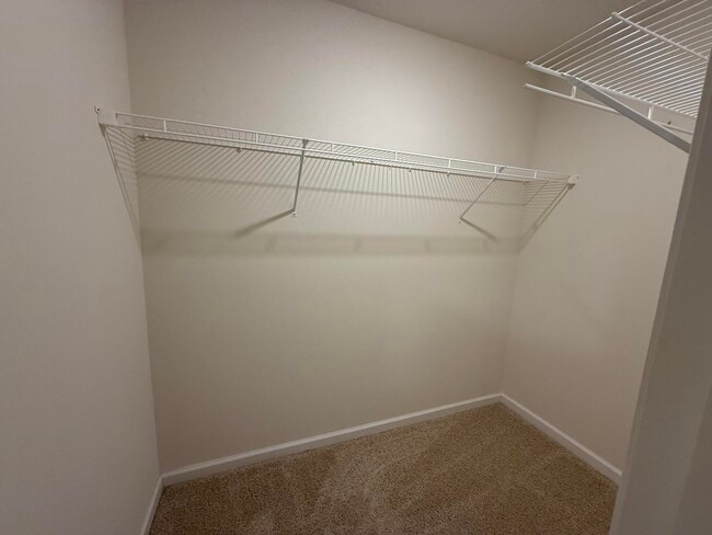 Building Photo - 1004 Limpkin St