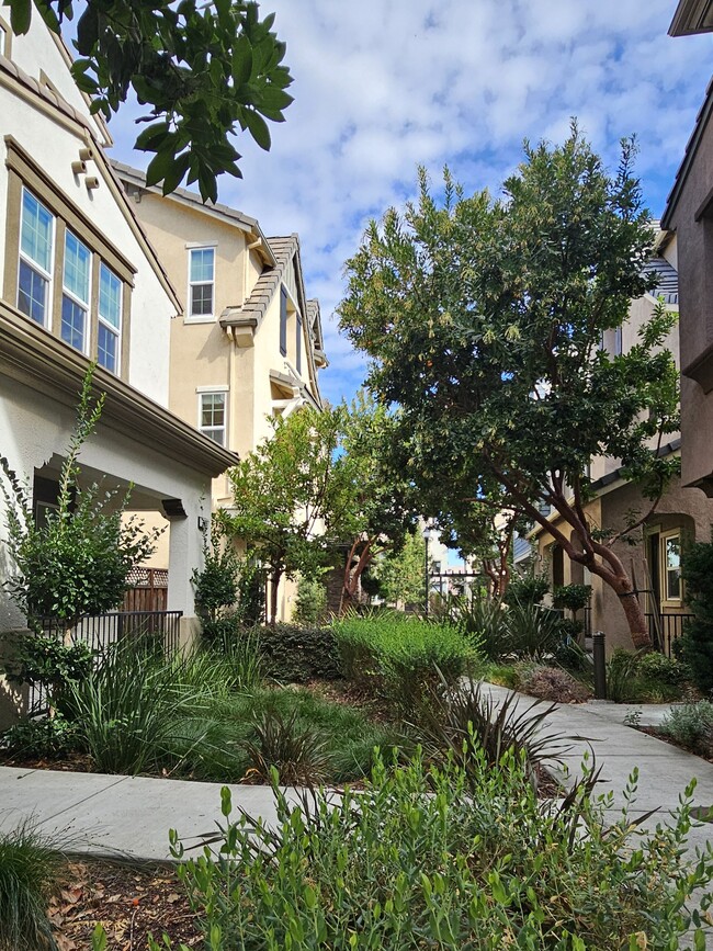 Building Photo - 3893 Fiano Cmn