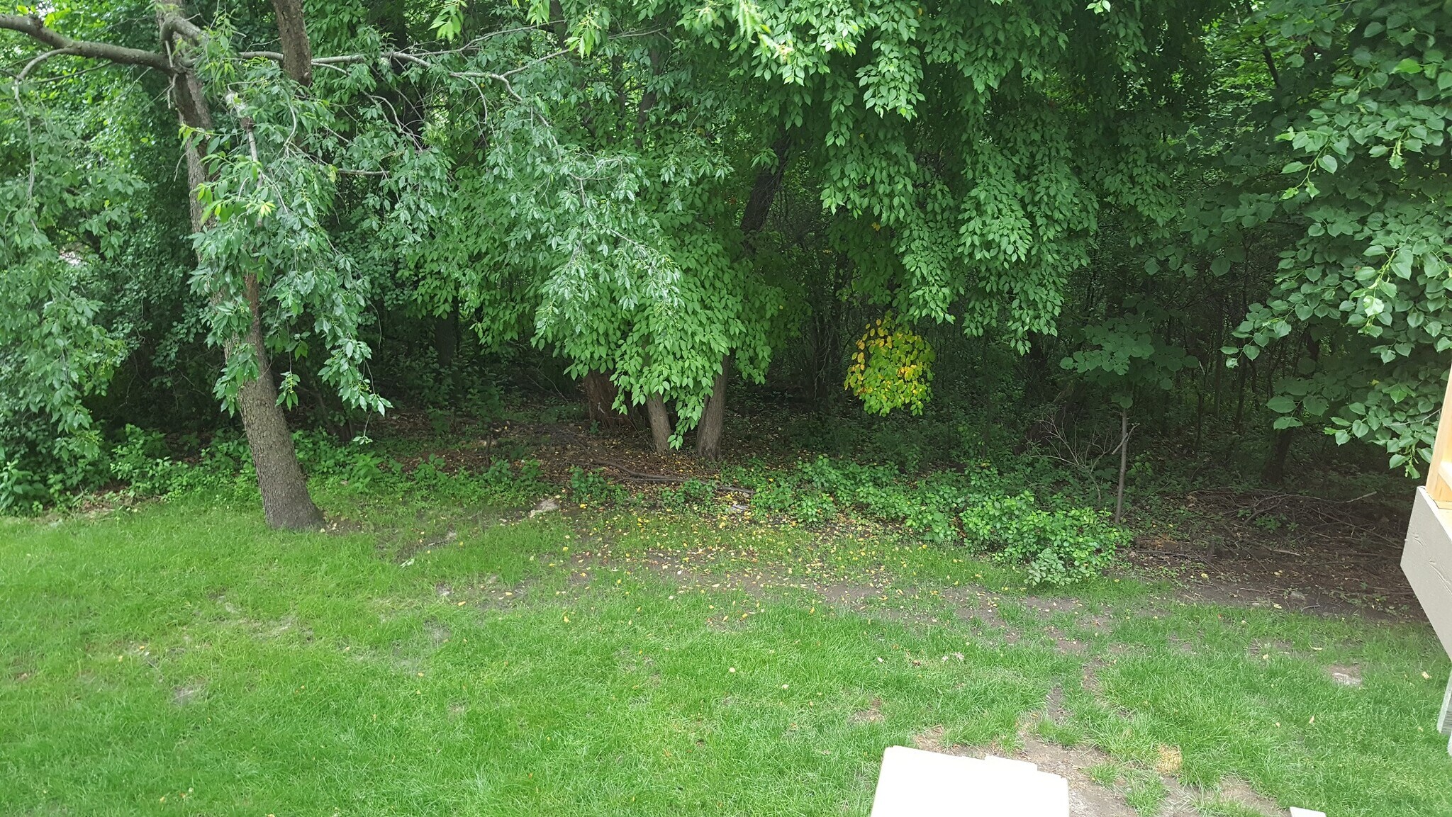 Backyard - 2007 Glendale Hills Dr NE
