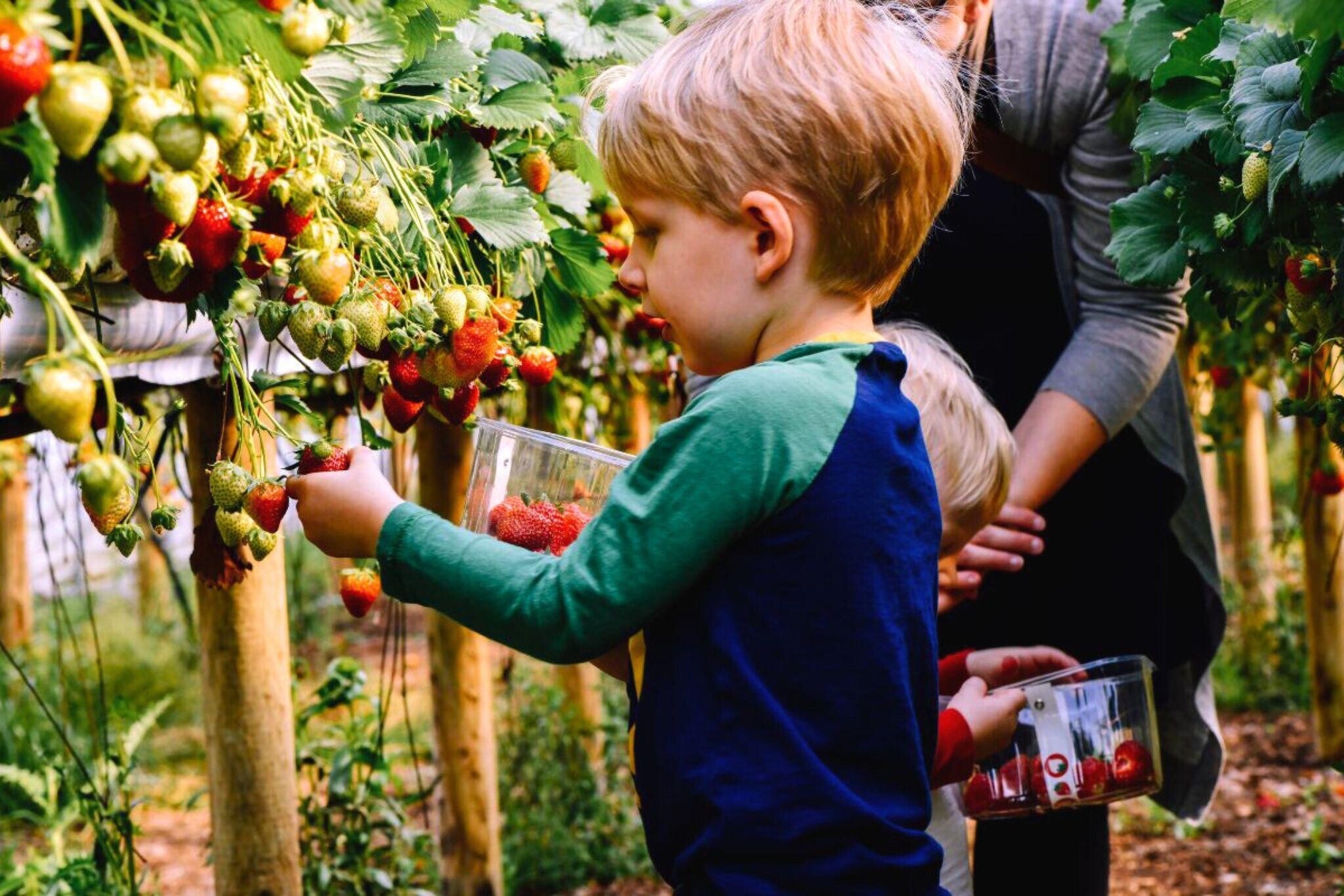 Building Photo - 1524 Tristar Dr