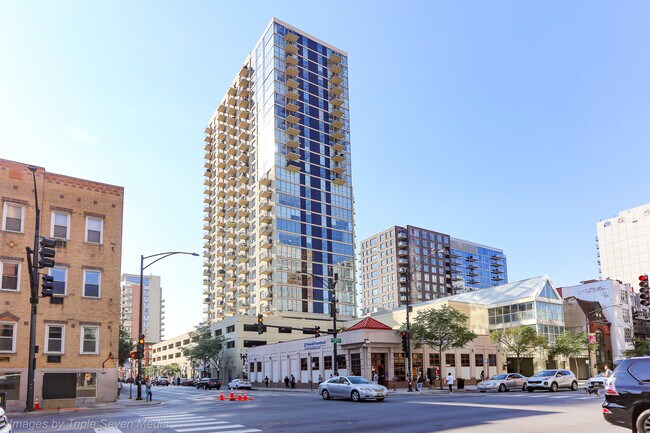 Primary Photo - 1212 N La Salle Dr
