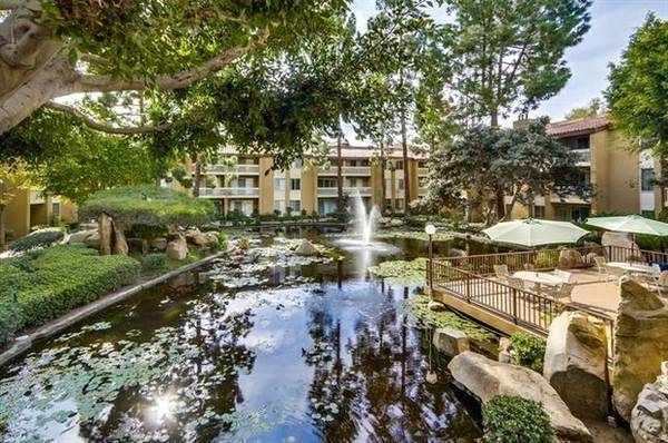 Pond by deck - 1801 Diamond Street