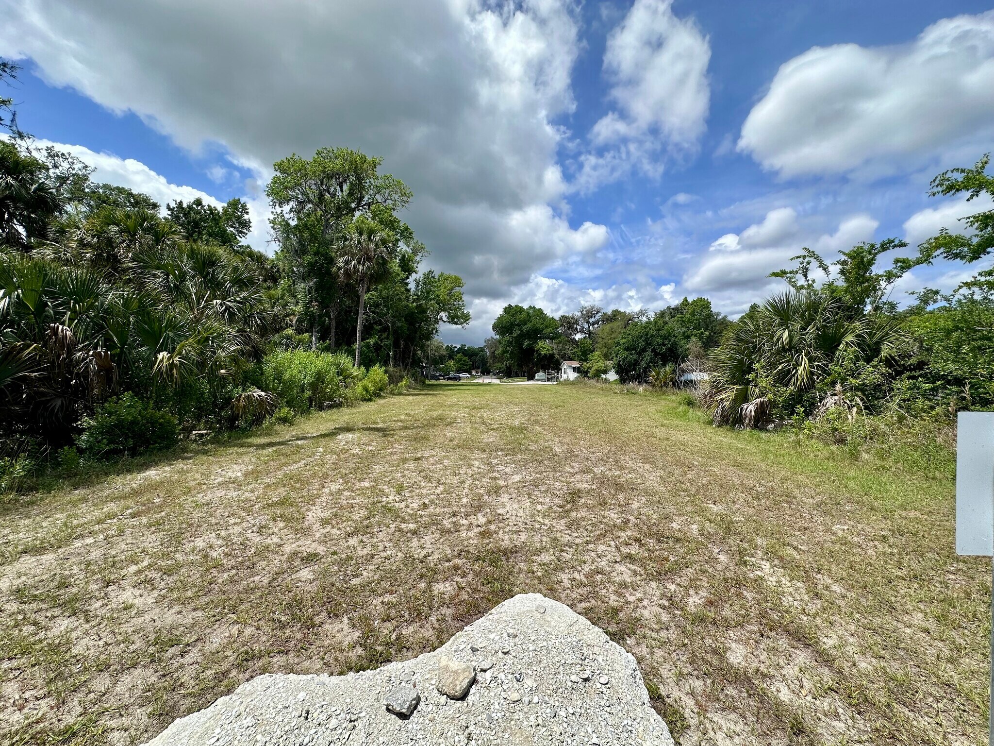 Forest preserve surrounding community - 1620 Delphi Way