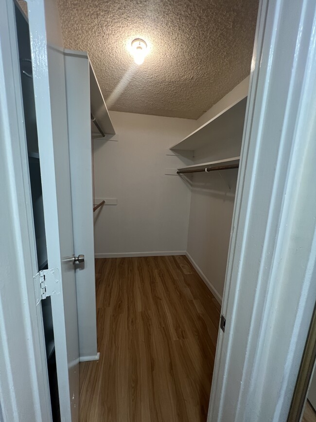 Spacious walk-in closet - 6435 Green Valley Cir