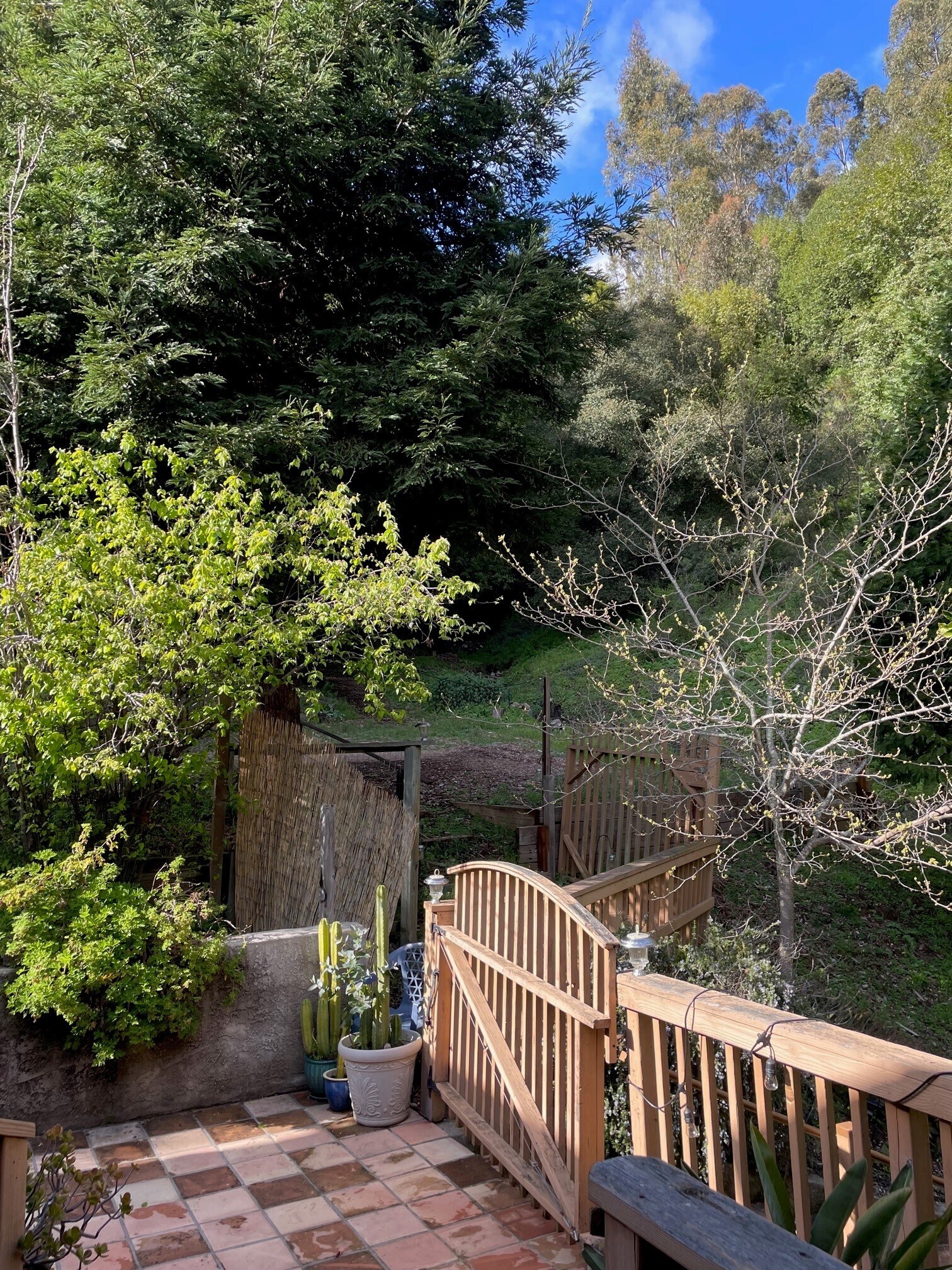 Building Photo - 7181 Thorndale Dr