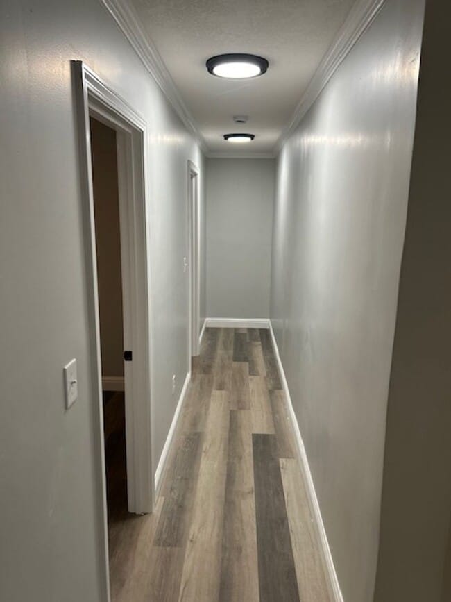 Building Photo - Ocean Springs 3 Bedroom