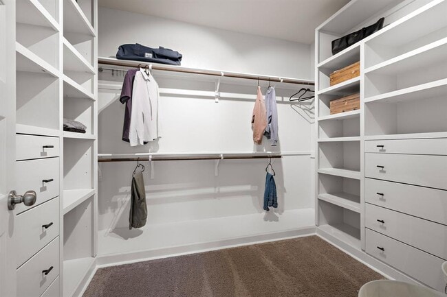 Building Photo - 3009 Diego Dr