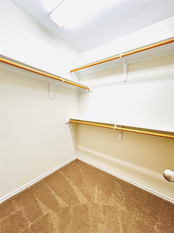 Building Photo - 9336 Hunter Ln