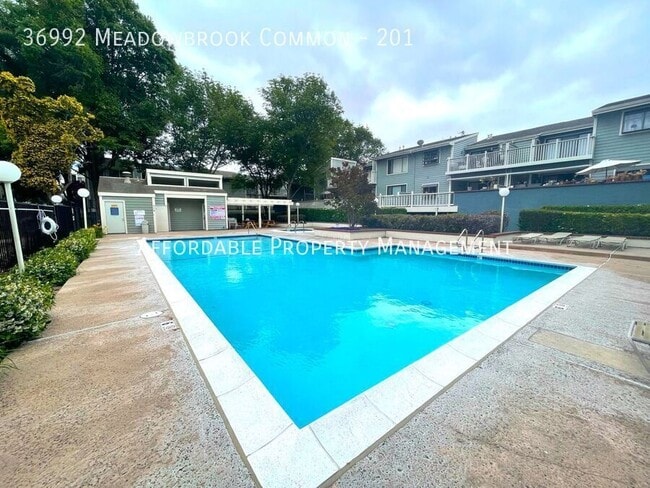 Building Photo - 36992 Meadowbrook Common