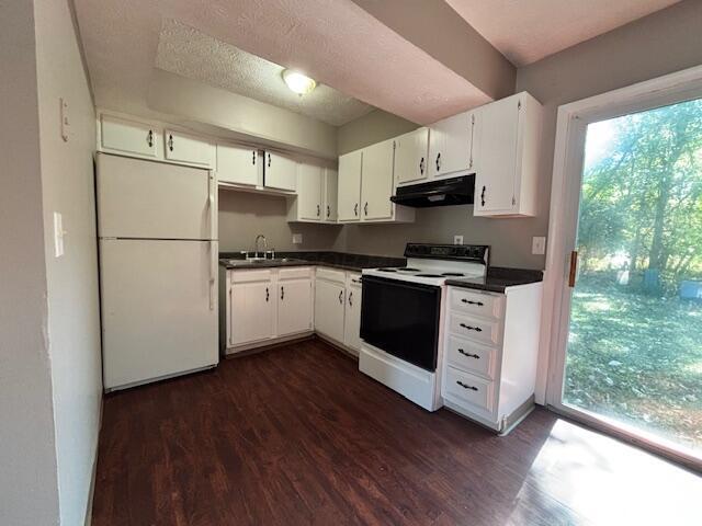 Building Photo - 3469 Nutcreek Ct