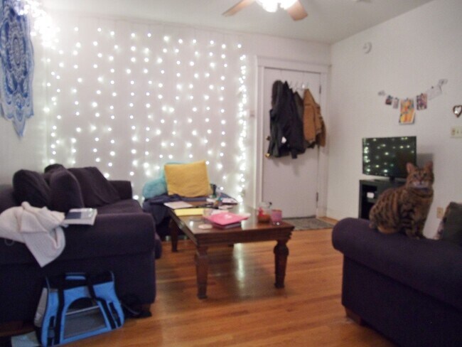 Building Photo - BRIGHTON 4 BED/2 BATH AVAILABLE 9/1 ~ HT/HW INCLUDED, GREEN LINE ACCESS