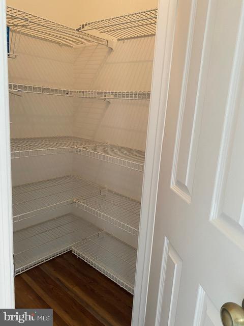 Building Photo - 3504 Emperor Ct