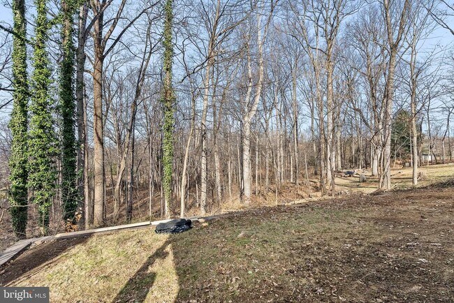 Building Photo - 122 Stuart Dr