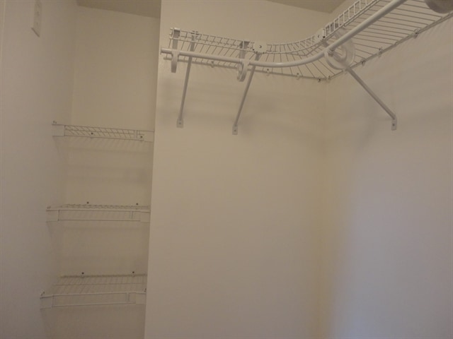 Building Photo - 447 Lancer Oak Dr