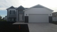 Building Photo - 4 Bed 3 Bath Single Family Home