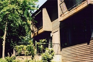 Primary Photo - Northwood
