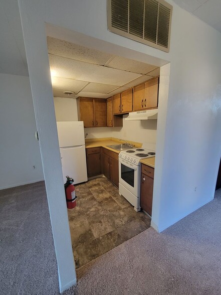 Interior Photo - Treehouse Apartments