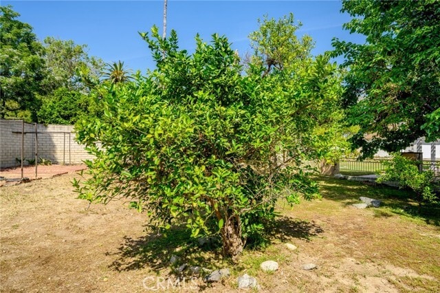 Building Photo - 1635 Grandview Ave