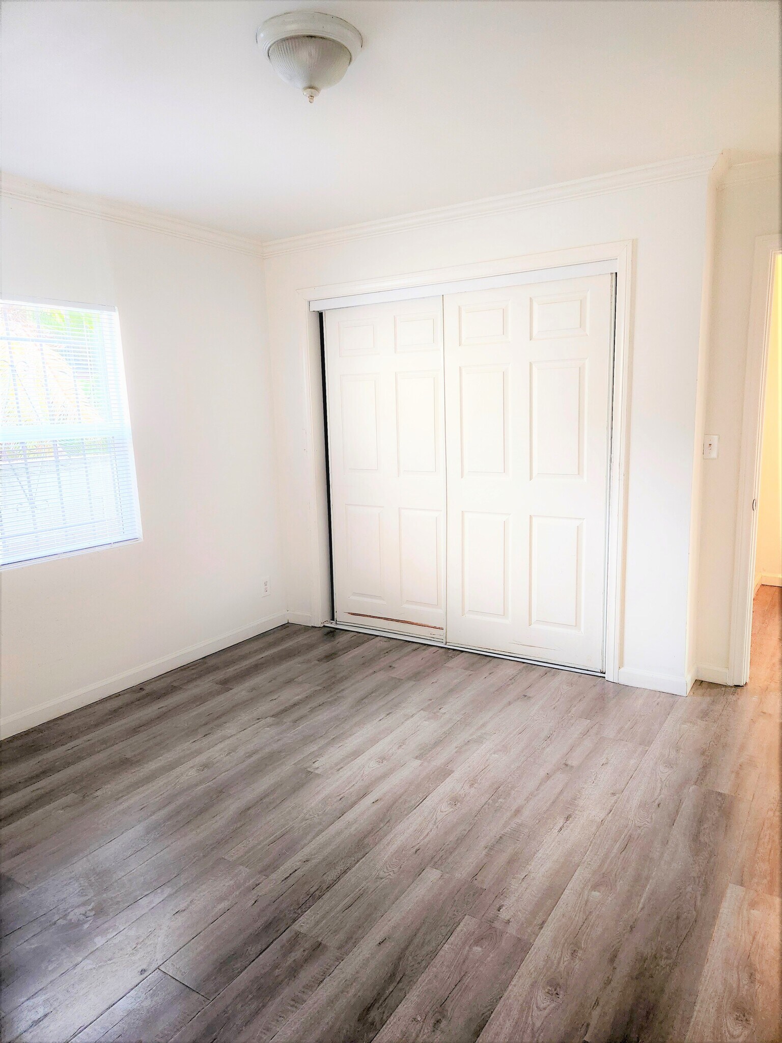 Building Photo - 1241 E 80th St