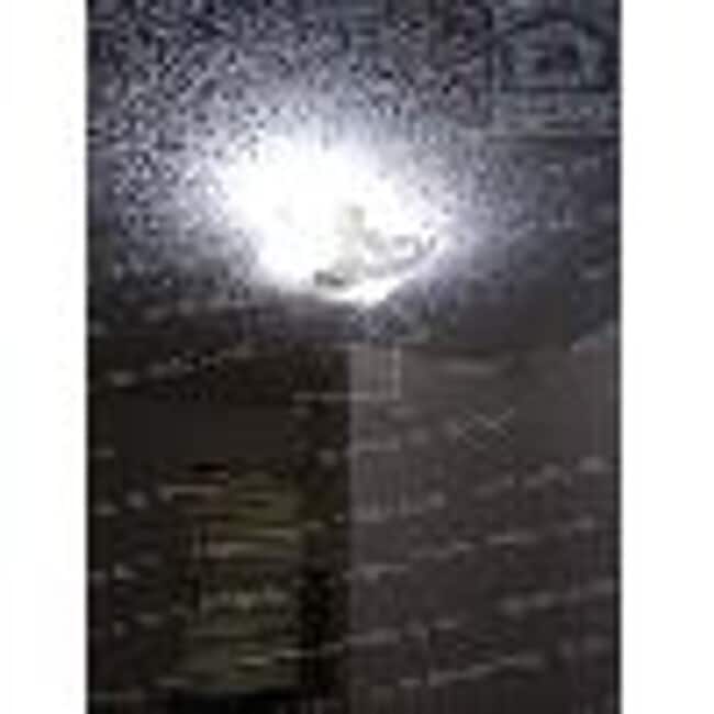 Building Photo - 1314 NW Irwin Ave