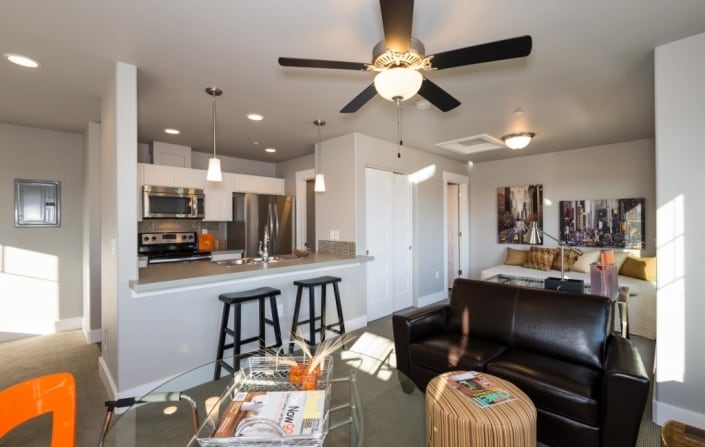 Kitchen and Living Area - 255 Urban Prairie Street