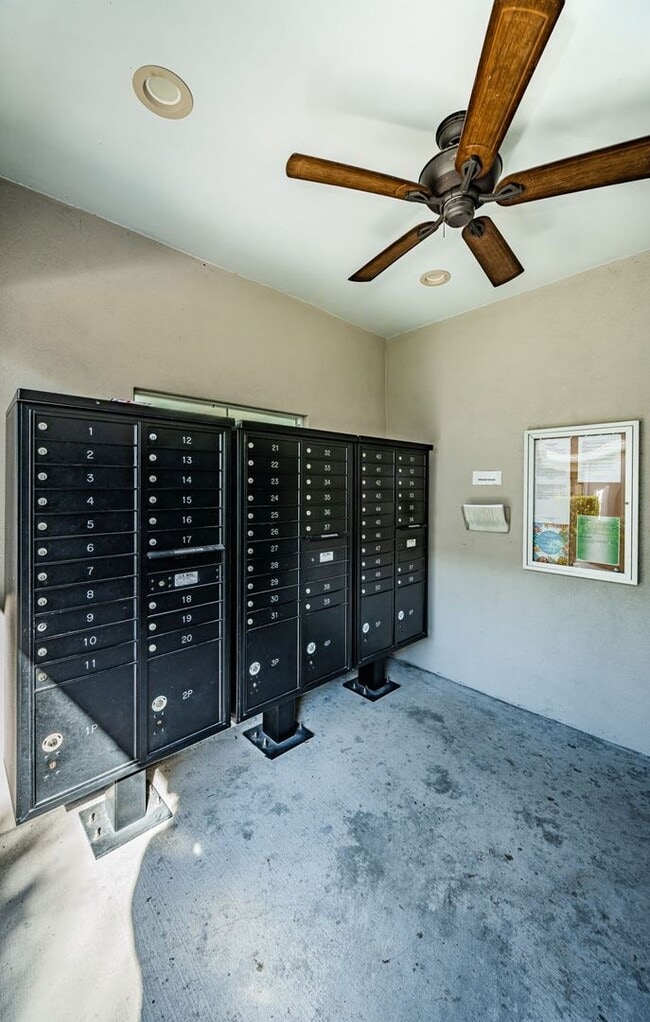 Building Photo - Large 3/3/2 Townhome Carrollwood