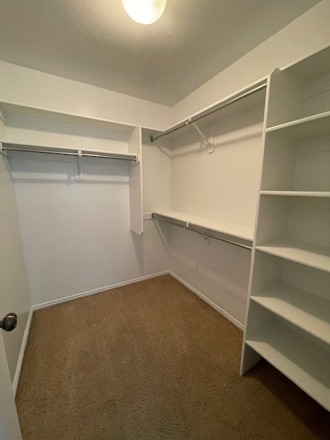 Building Photo - 1813 N Belvedere Way