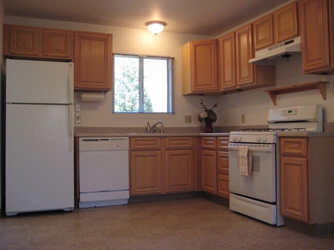 Kitchen with lots of cabinet space and lighting. - 567 San Geronimo Valley Dr