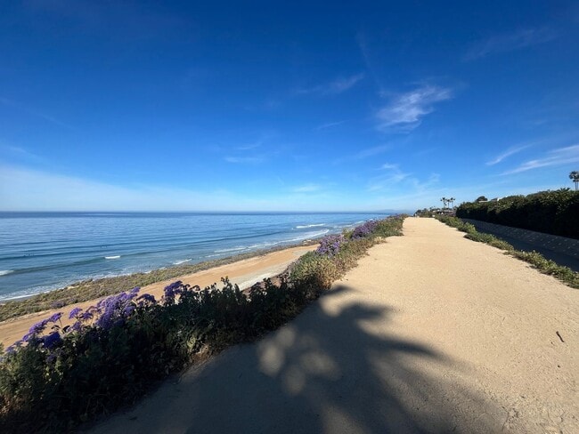 Building Photo - 519 Stratford Ct