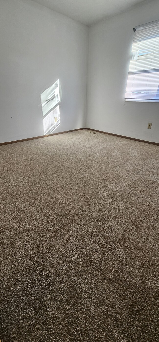 new carpet - 890 Worthington Woods Blvd