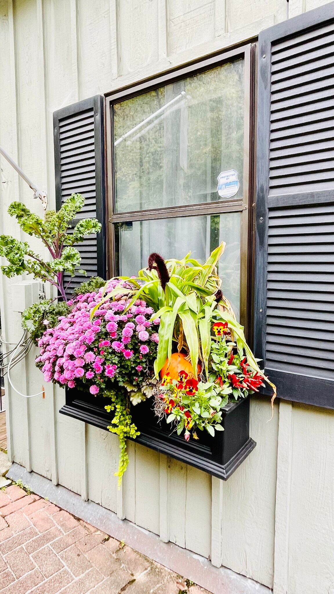 Front Yard/Entrance - 1005 Hill St