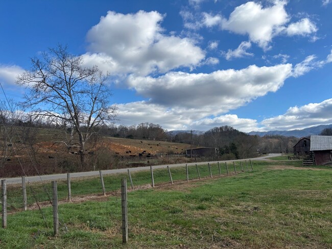 Building Photo - 3 Bedroom / 2 Bath Home Bluff City TN