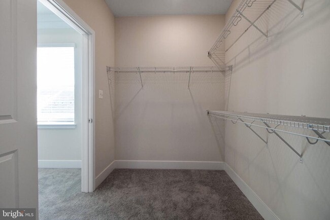 Building Photo - 7960 -B Potter Pl