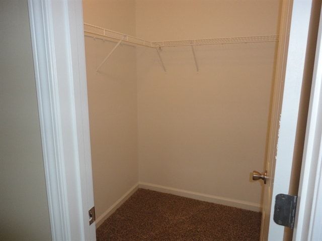 Building Photo - 3345 Thorneridge Trl