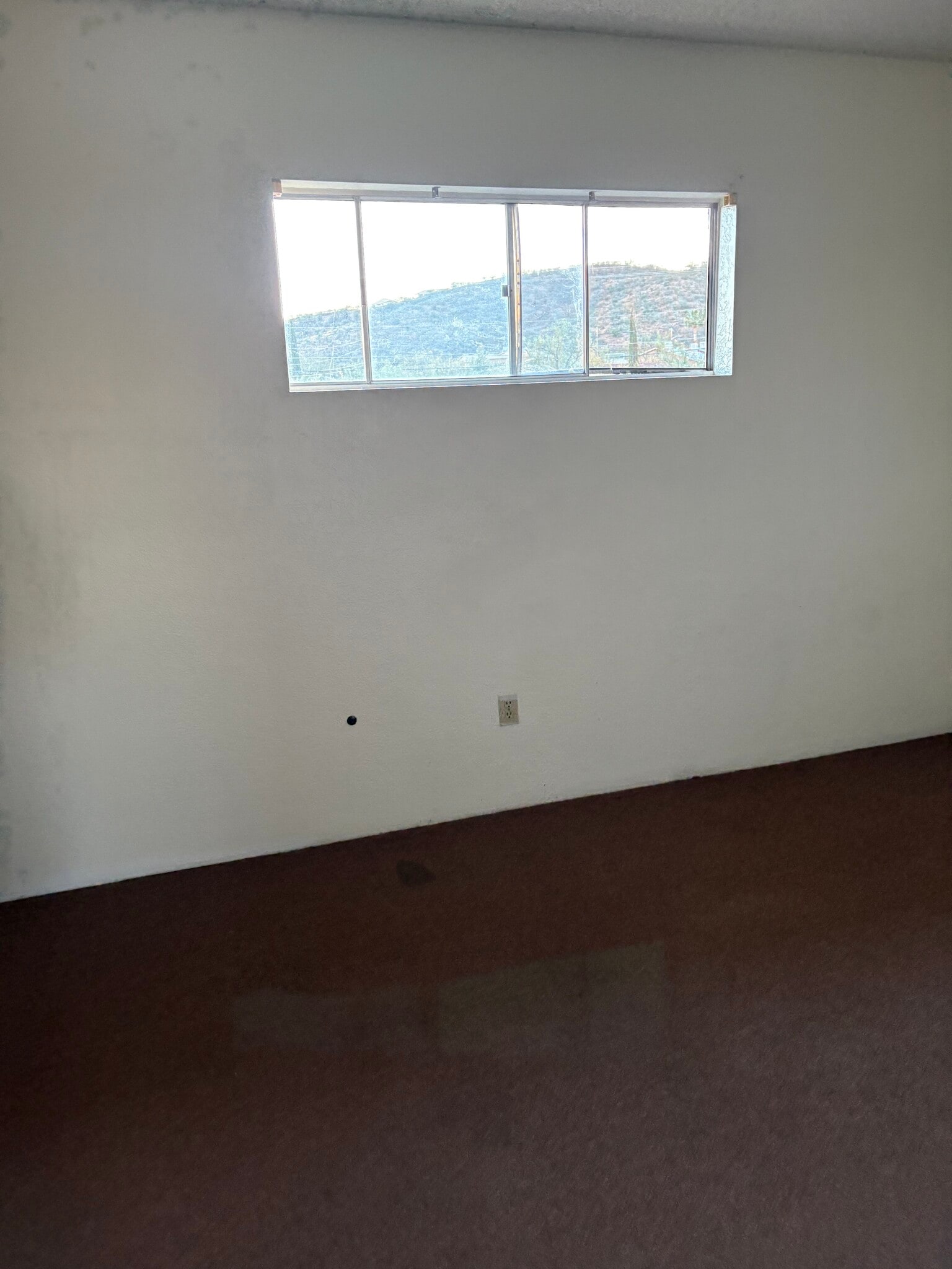Building Photo - 433 Avenida Garza
