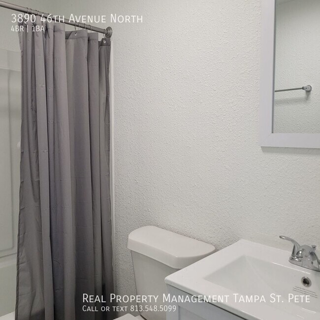 Building Photo - ***THE PERFECT ST PETE REHAB***