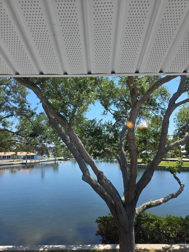 Building Photo - Waterfront Living Near Downtown St. Pete | Boat Access + Designer Finishes