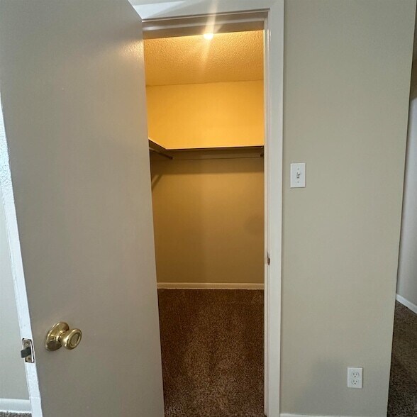 Building Photo - 5364 Santa Monica Cove