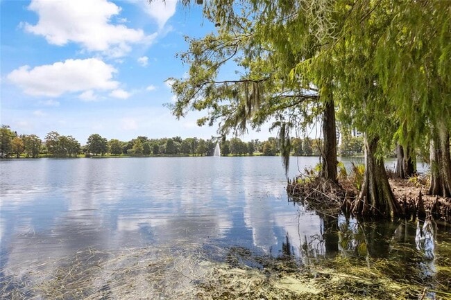 Building Photo - 266 Park Lake St