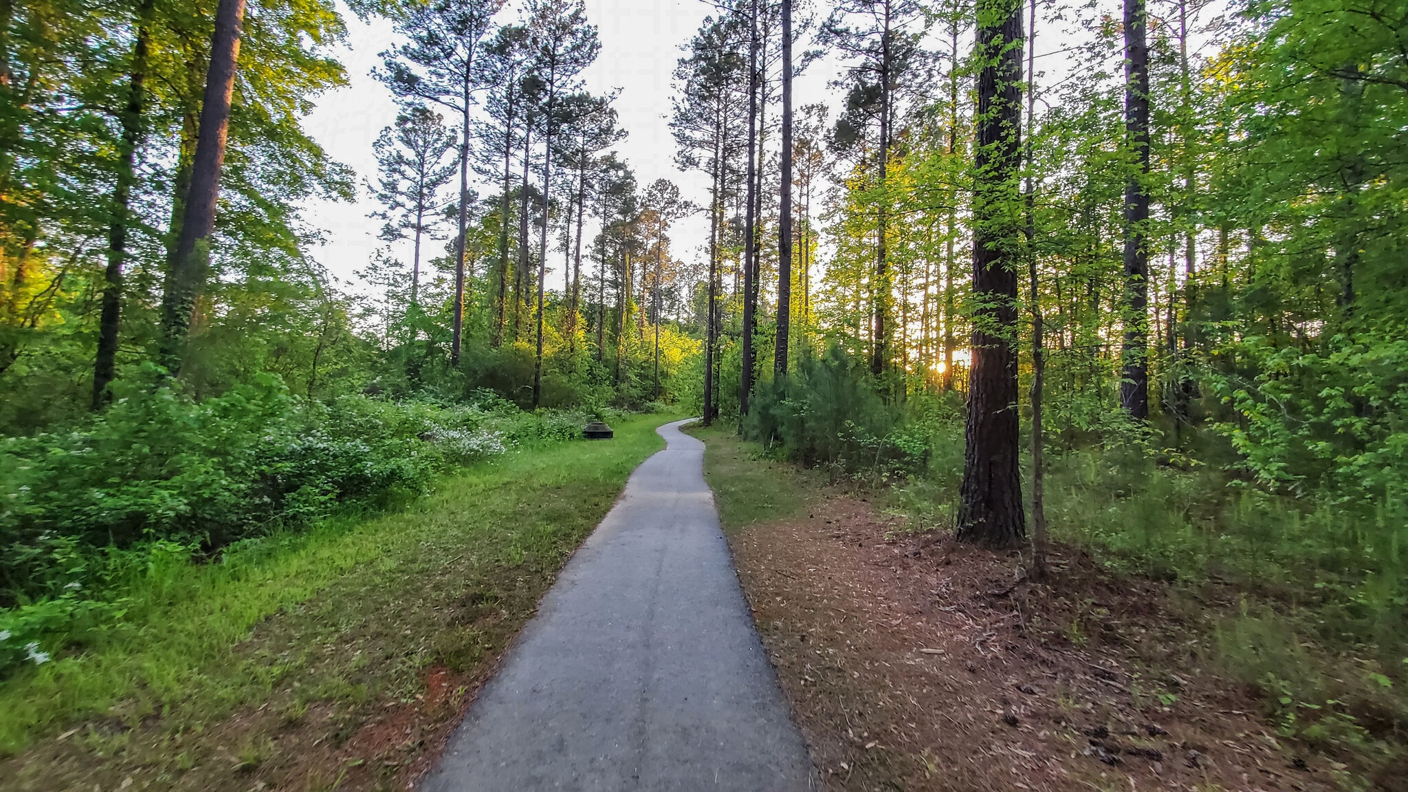 Building Photo - 2036 Warbler Dr