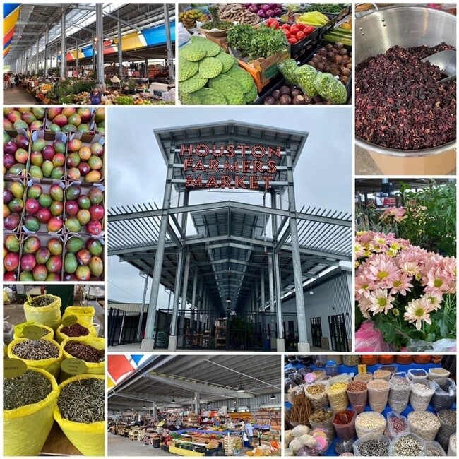 Building Photo - 1717 Airline Dr