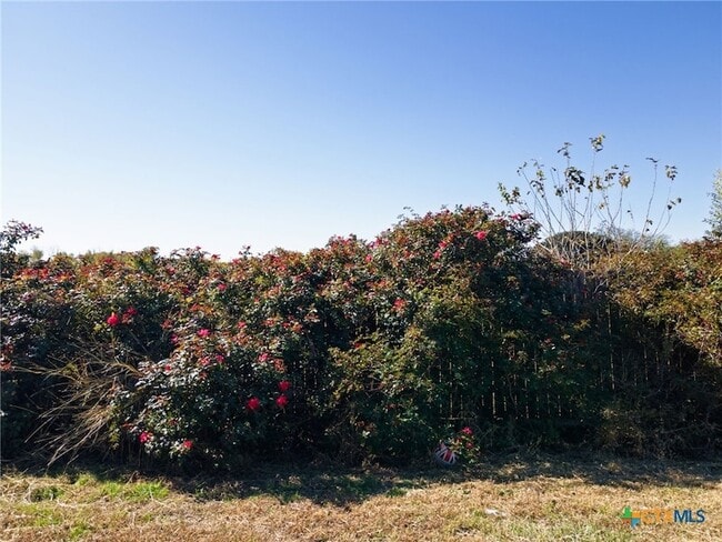 Building Photo - 1502 Shim's Blvd