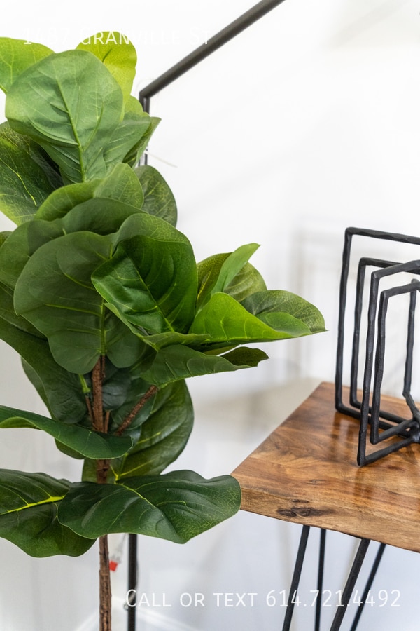 Building Photo - 1487 Granville St