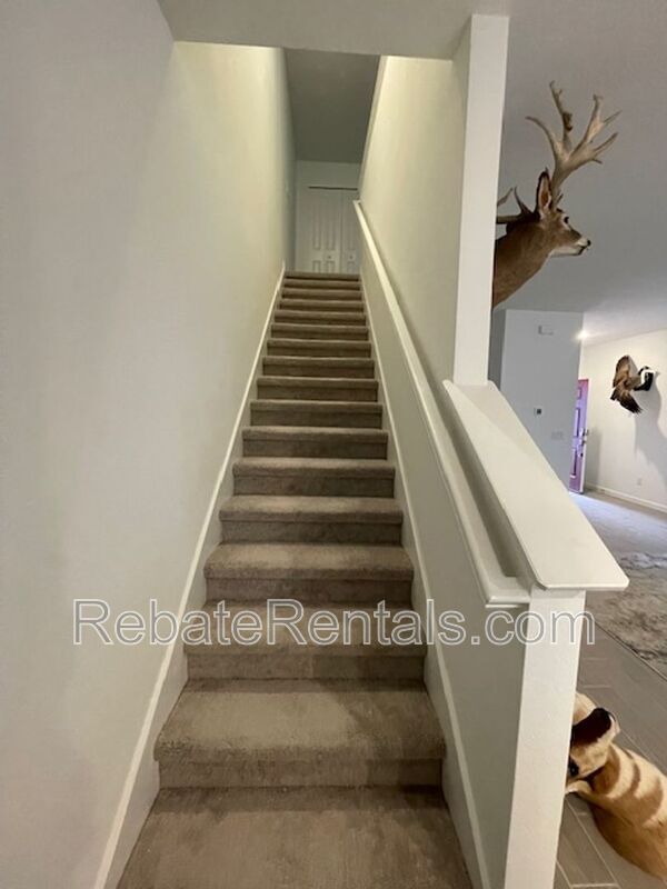 Building Photo - 347 Belfort Ct