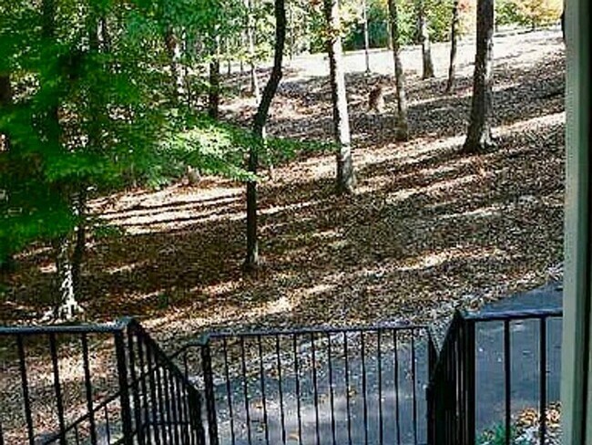 Building Photo - Spacious 3100 sq ft 3 bedroom 2 bath home on over 1.5 acres in Oak Ridge, NC