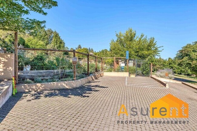 Building Photo - Stunning Home with Beautiful views of Ashland Available Soon!