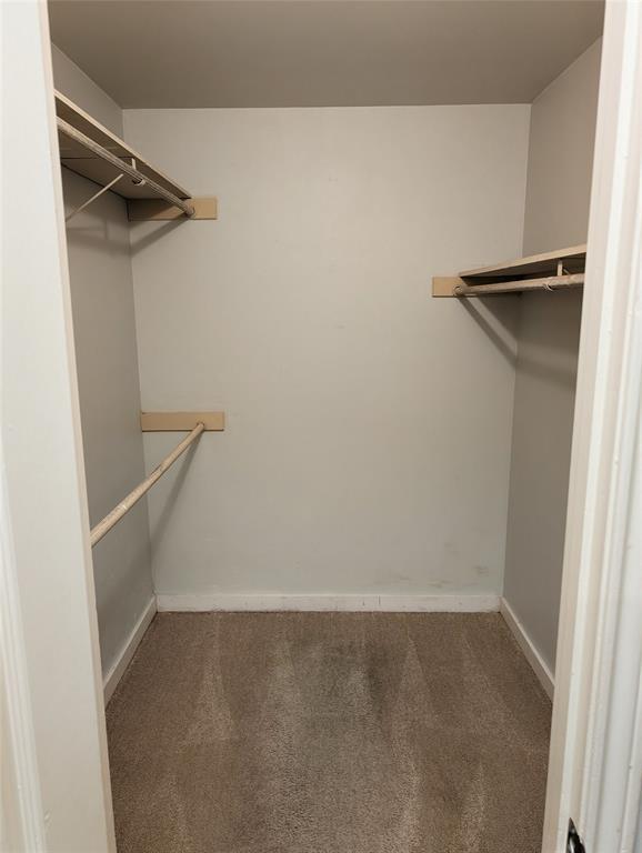 Building Photo - 2529 Rio Grande St