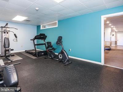 Building Photo - 5353 Columbia Pike