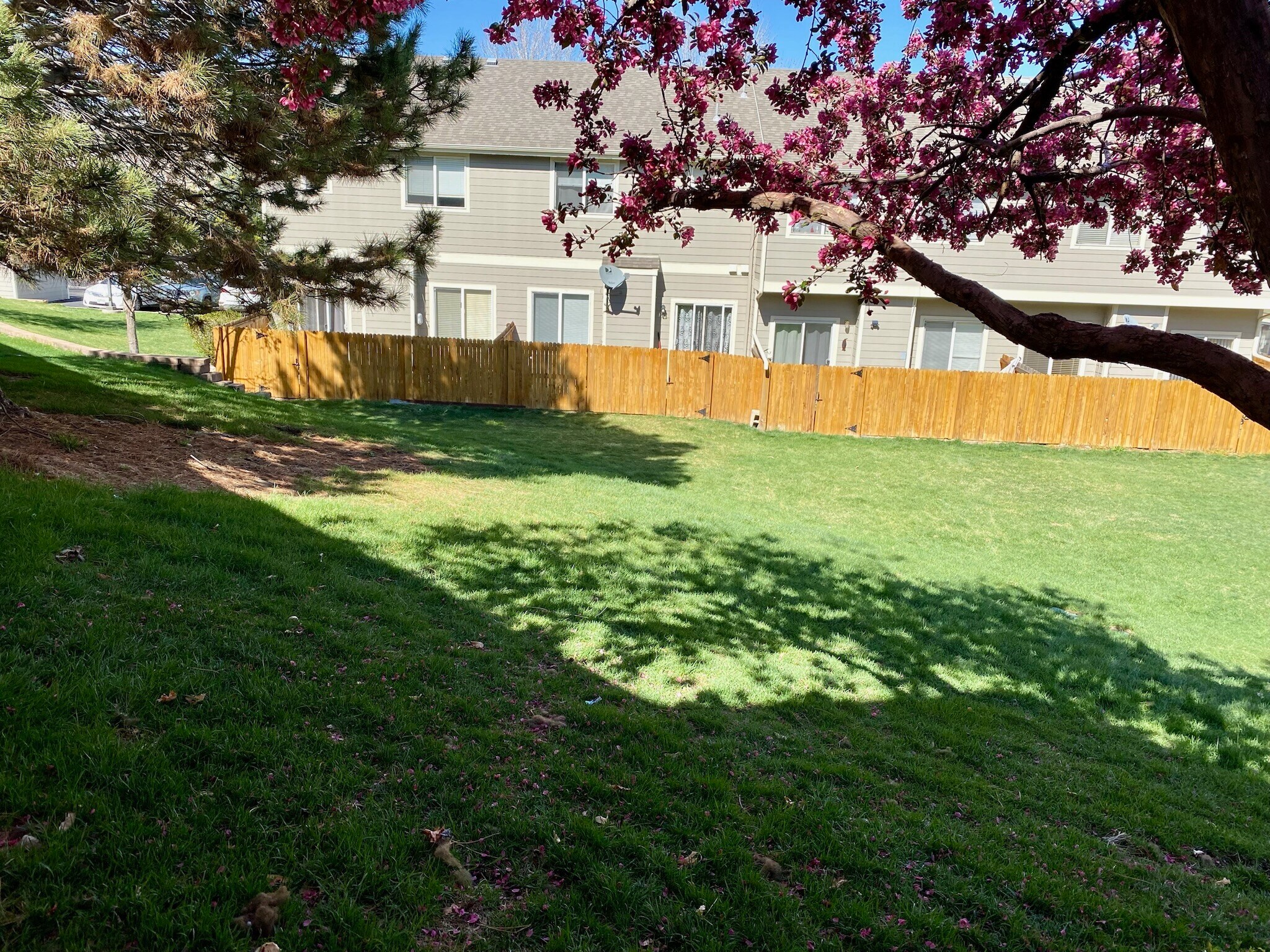 Community maintained green space right outside of patio. - 9056 Gale Blvd